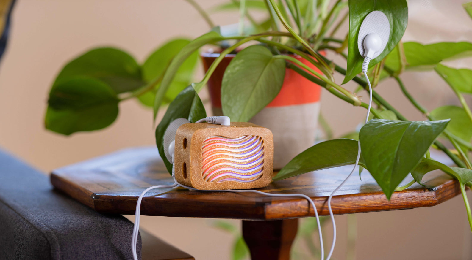 Is This “Plant Music Device” the Real Dream Come True for Nature Lovers Everywhere?