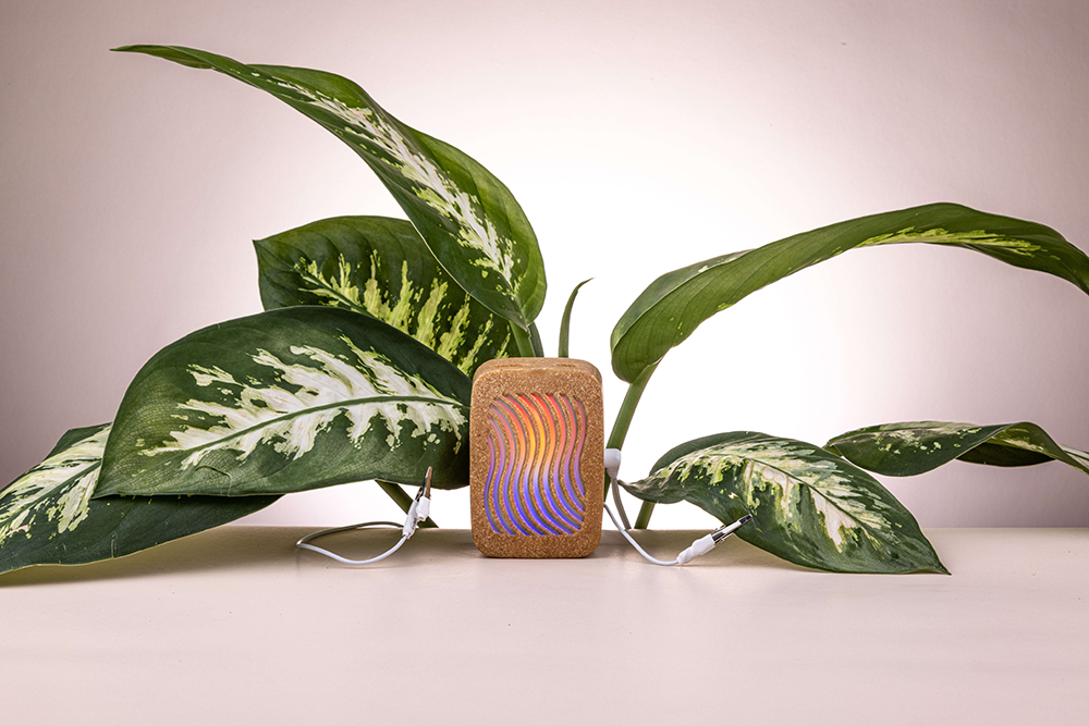 Plant Biosonification: How PlantWave Turns Plant Signals Into Music