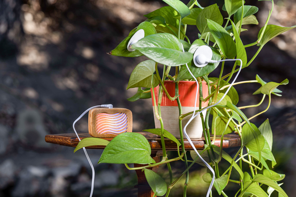 How PlantWave Works