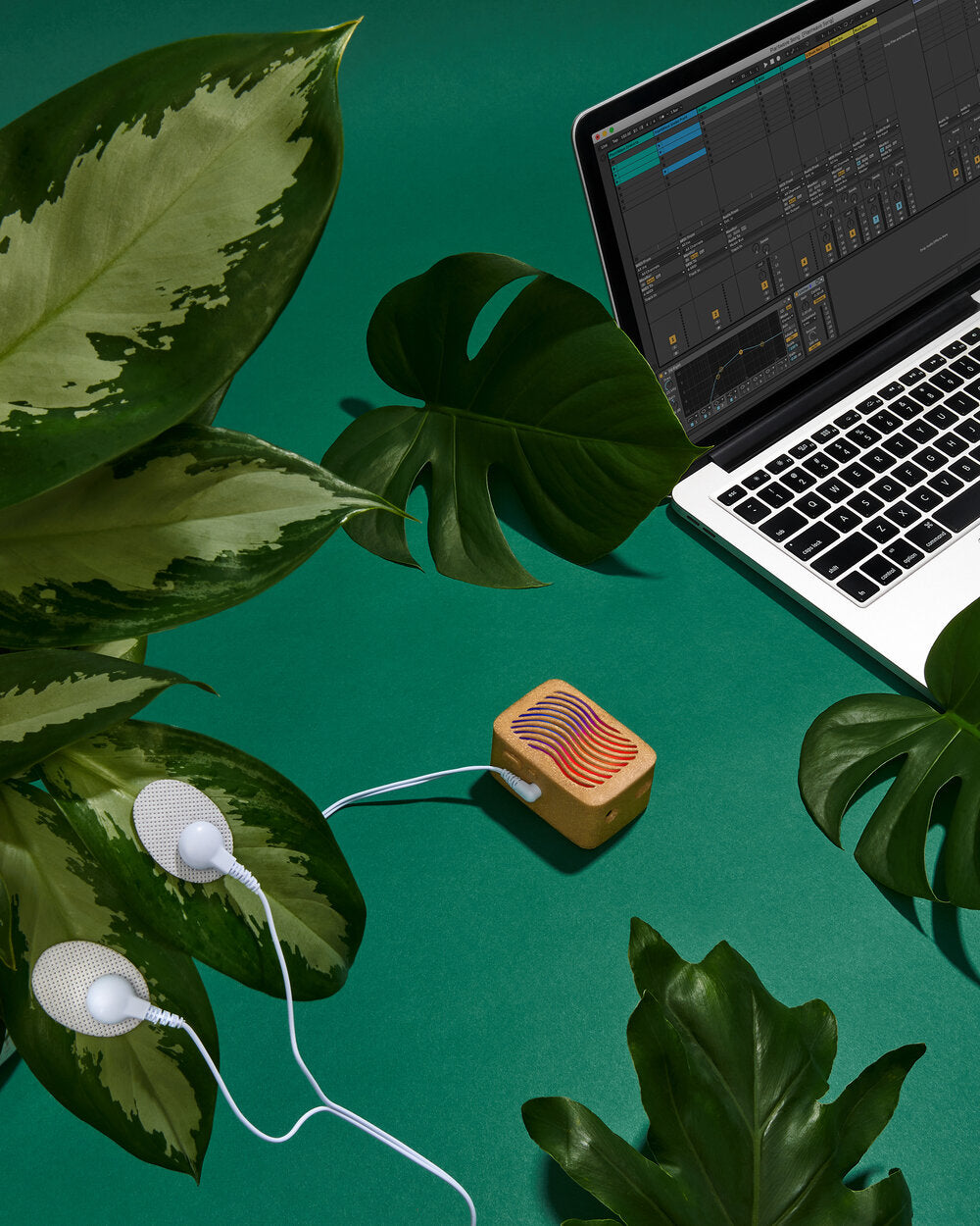 DTM・DAW PLANT WAVE Does PlantWave Work With DAWS and Synths? YES!