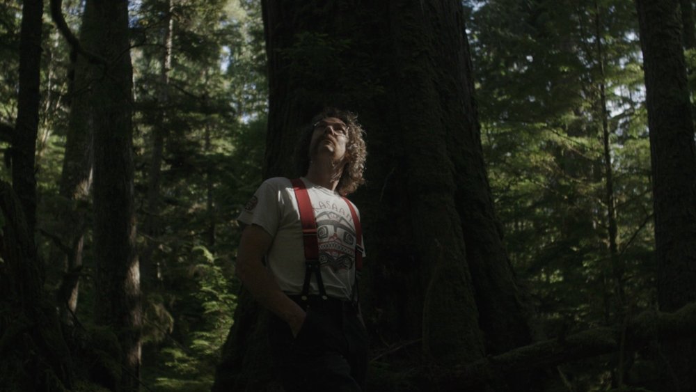 Protecting Old Growth Forest With Stormy Hamar