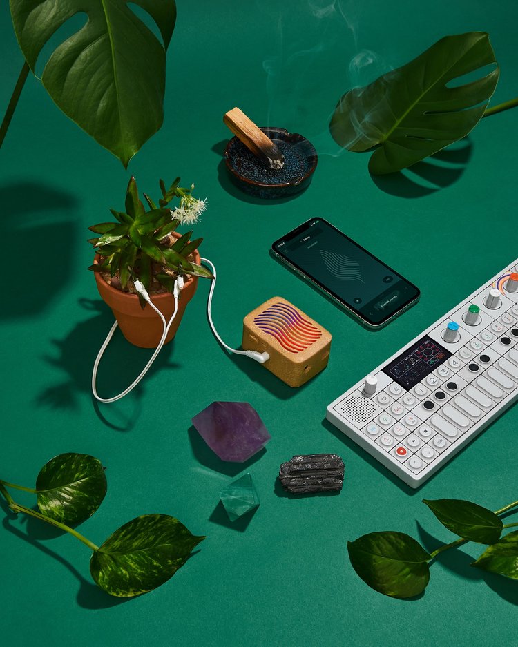 PlantWave Black Friday Bundle