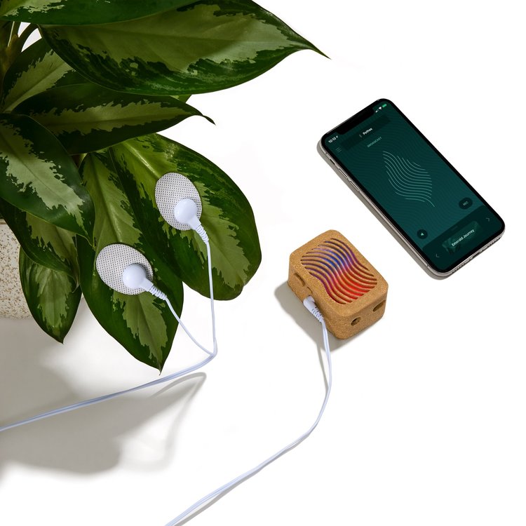 PlantWave Black Friday Bundle