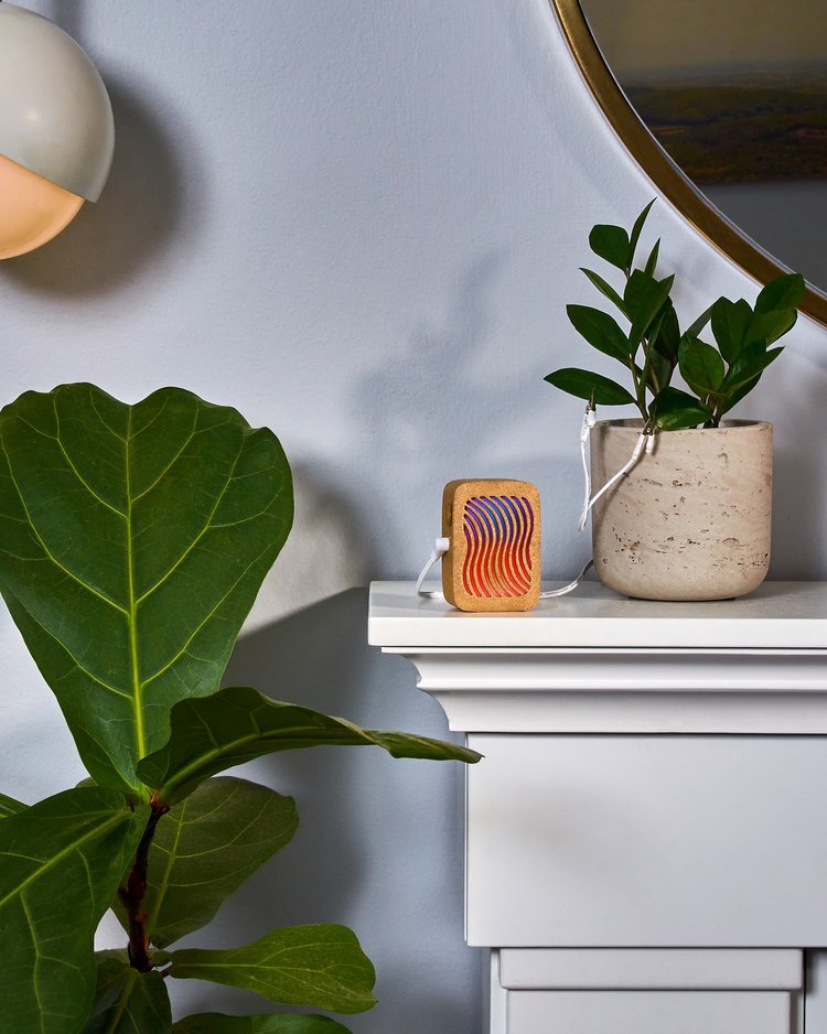 PlantWave – In Person Gift