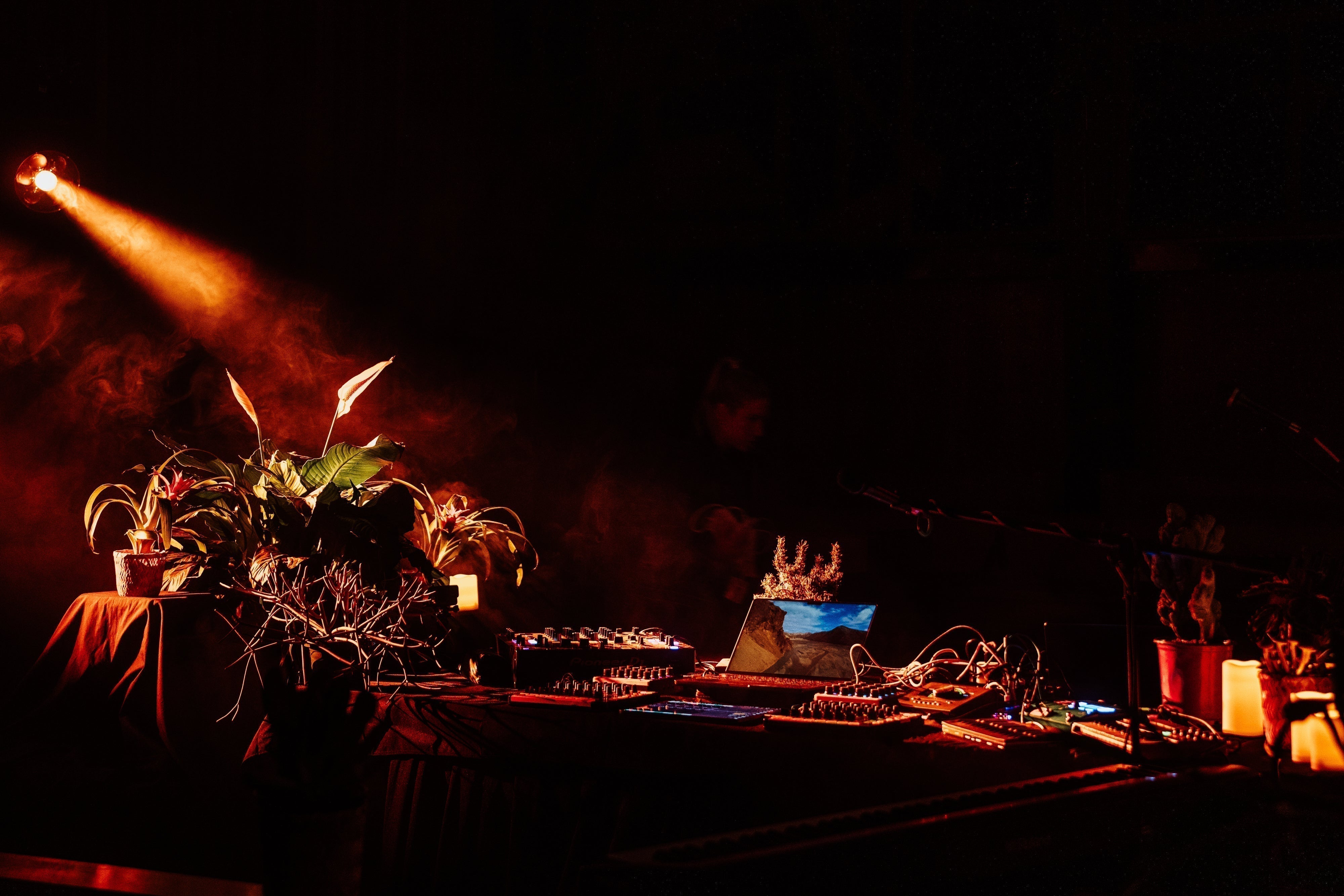 PlantWave at SXSW 2026 | Live Plant Music Concert