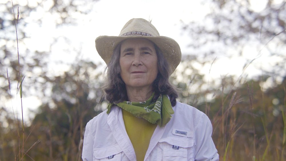 Meet Cynthia – Restoring Prairie Land With PlantWave