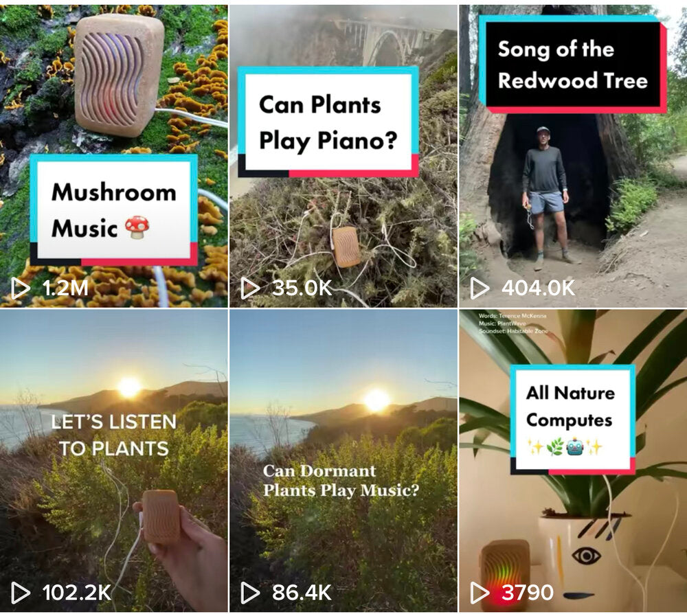 PlantWave Plant Music on TikTok