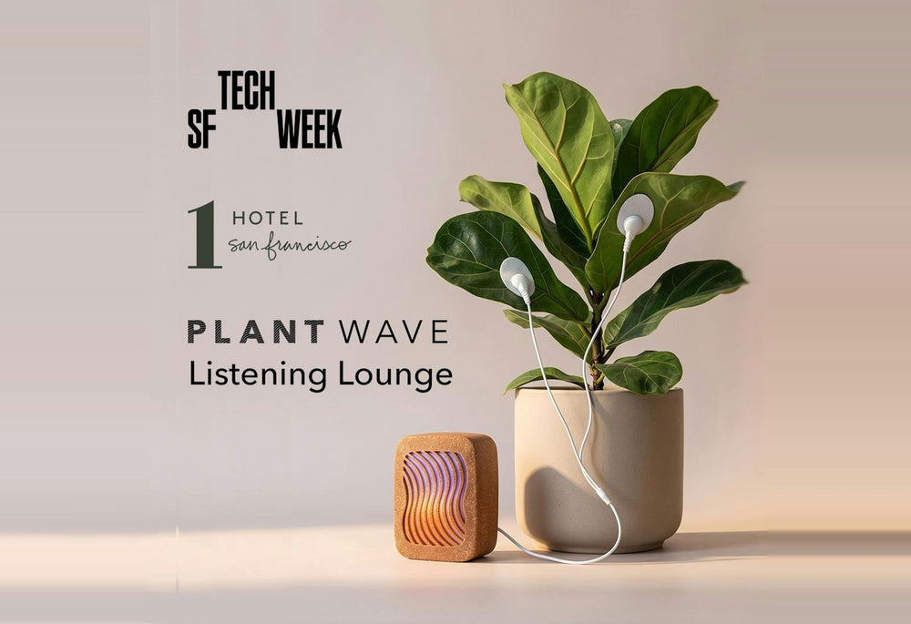 PlantWave Listening Lounge at 1 Hotel San Francisco