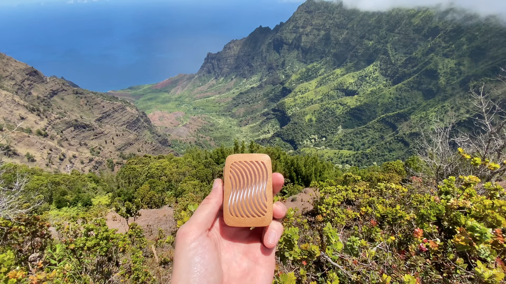 Plant Music In Hawaii