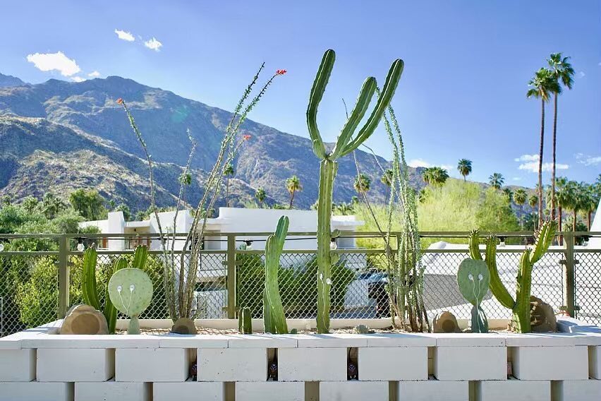 Can Plants Make Music?