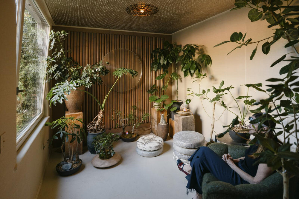 How People's Hearts Responded When Listening to Plants