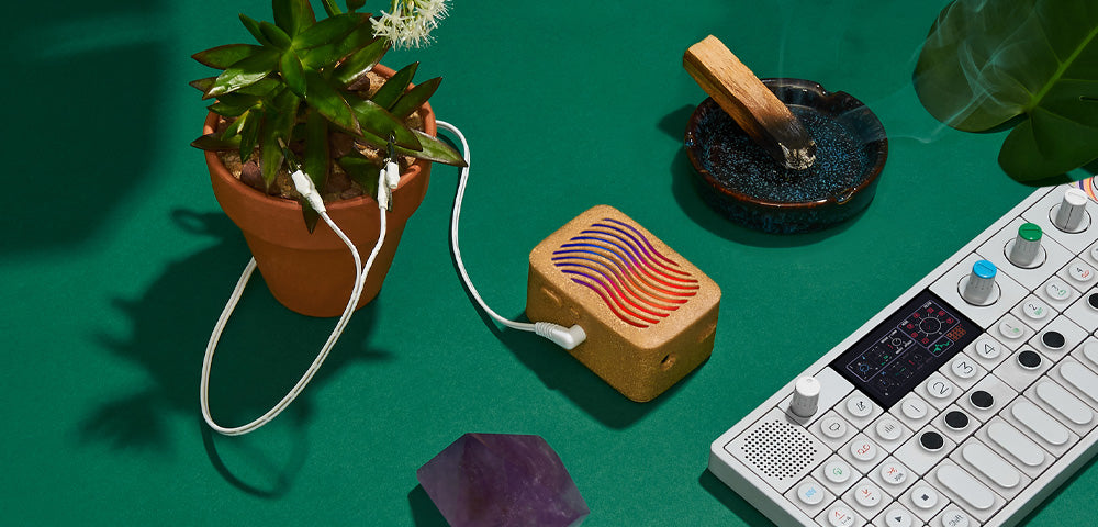 Plant Synthesizer: How to Connect PlantWave Directly to Your Synth