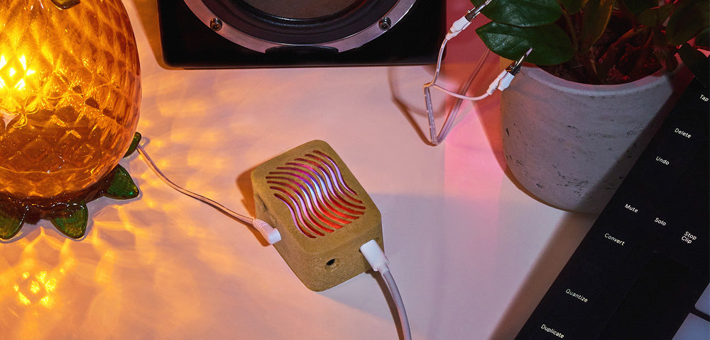 Plant MIDI CC: What It Is and How to Use It