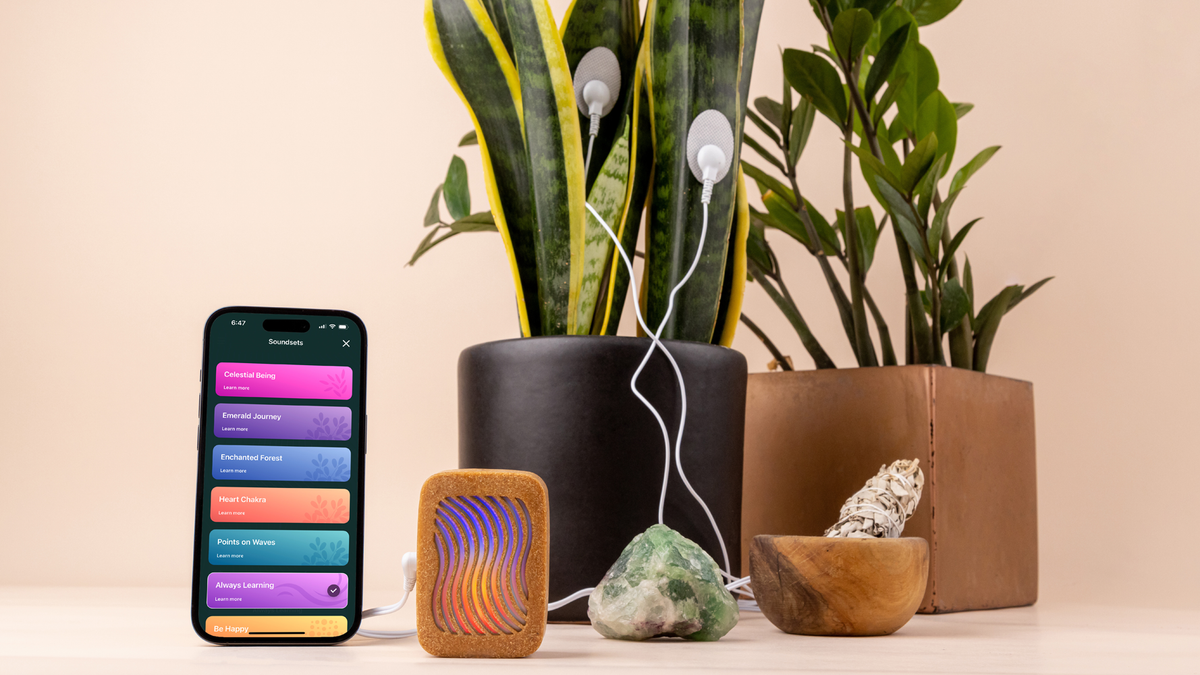 What Is Biosonification? Turning Biological Signals Into Sound