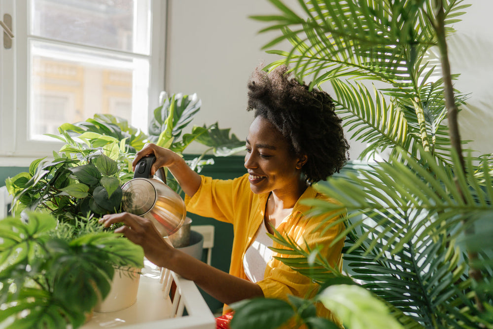 Can Plants Sense Human Emotions? What an MIT Study Found
