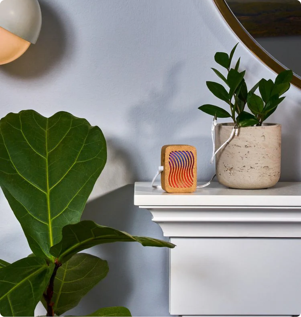 PlantWave Black Friday VIP Bundle