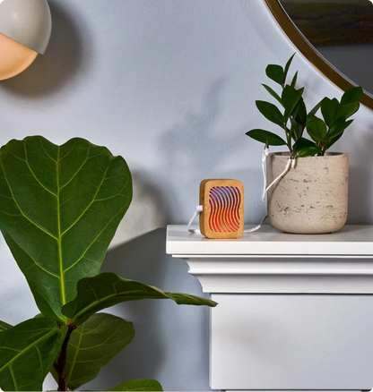 PlantWave Black Friday VIP Bundle