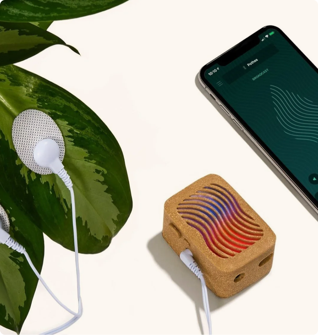 PlantWave Black Friday VIP Bundle