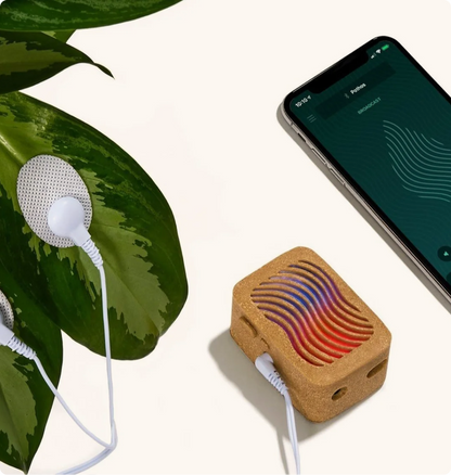 PlantWave Black Friday VIP Bundle