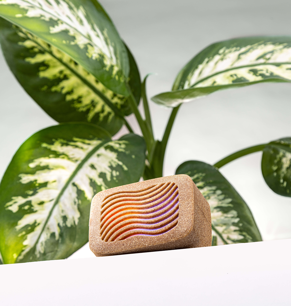 PlantWave Black Friday VIP Bundle