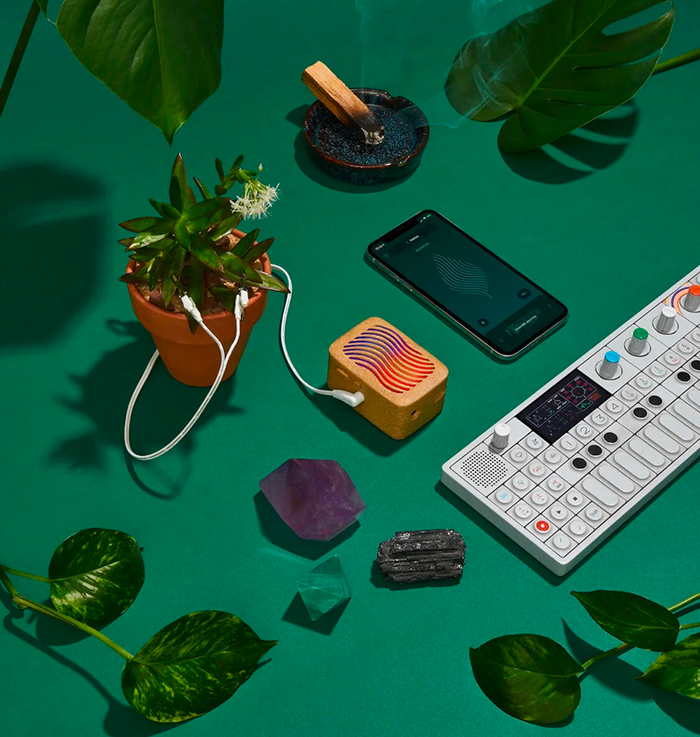 PlantWave Black Friday VIP Bundle