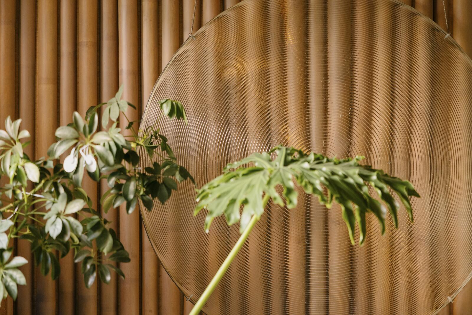 A philodendron leaf in front of a bamboo wall and a round glass moon