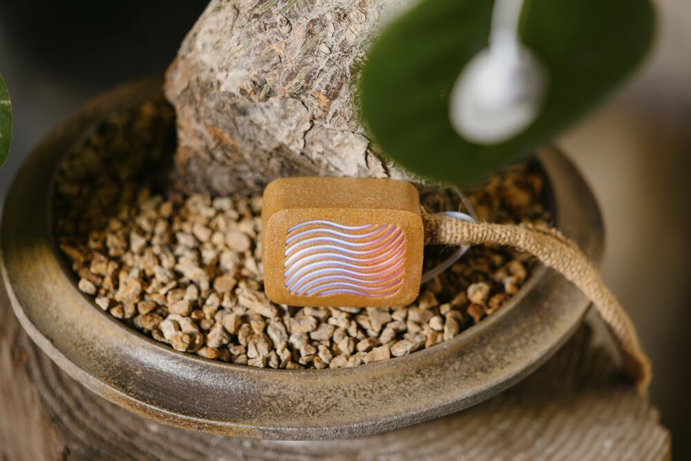 A PlantWave glowing in a planter of gravel, with a sensor cable running up to a leaf