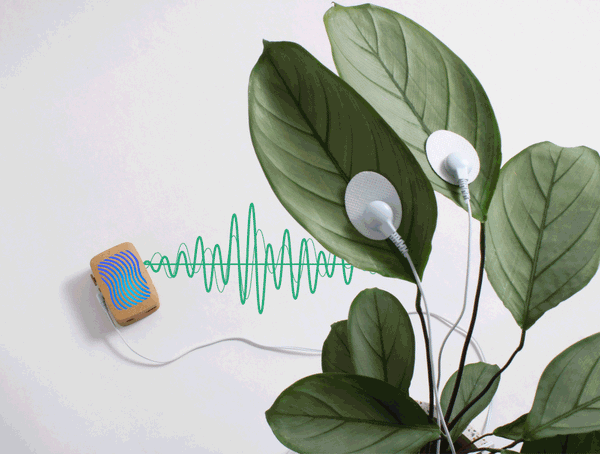 How It Works – PlantWave