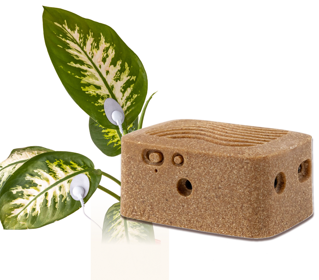 PlantWave