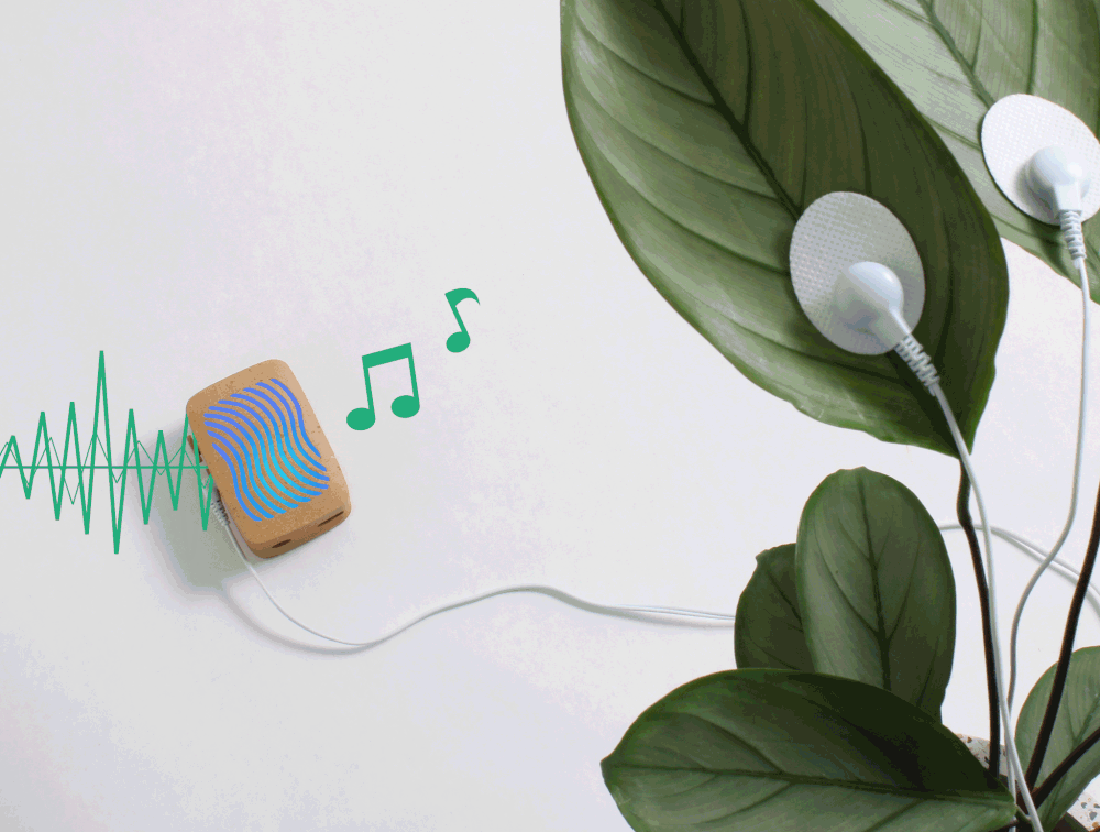 Buy the Original PlantWave Device | PlantWave